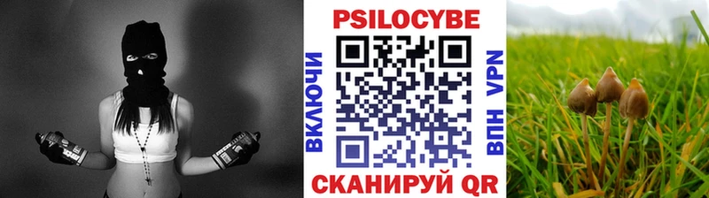 купить закладку  Андреаполь  мега вход  Галлюциногенные грибы прущие грибы 